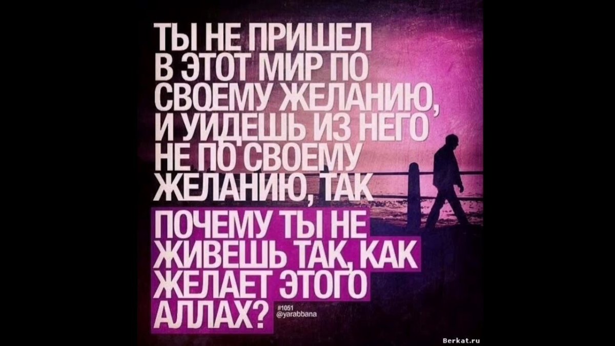 Мусульманские цитаты