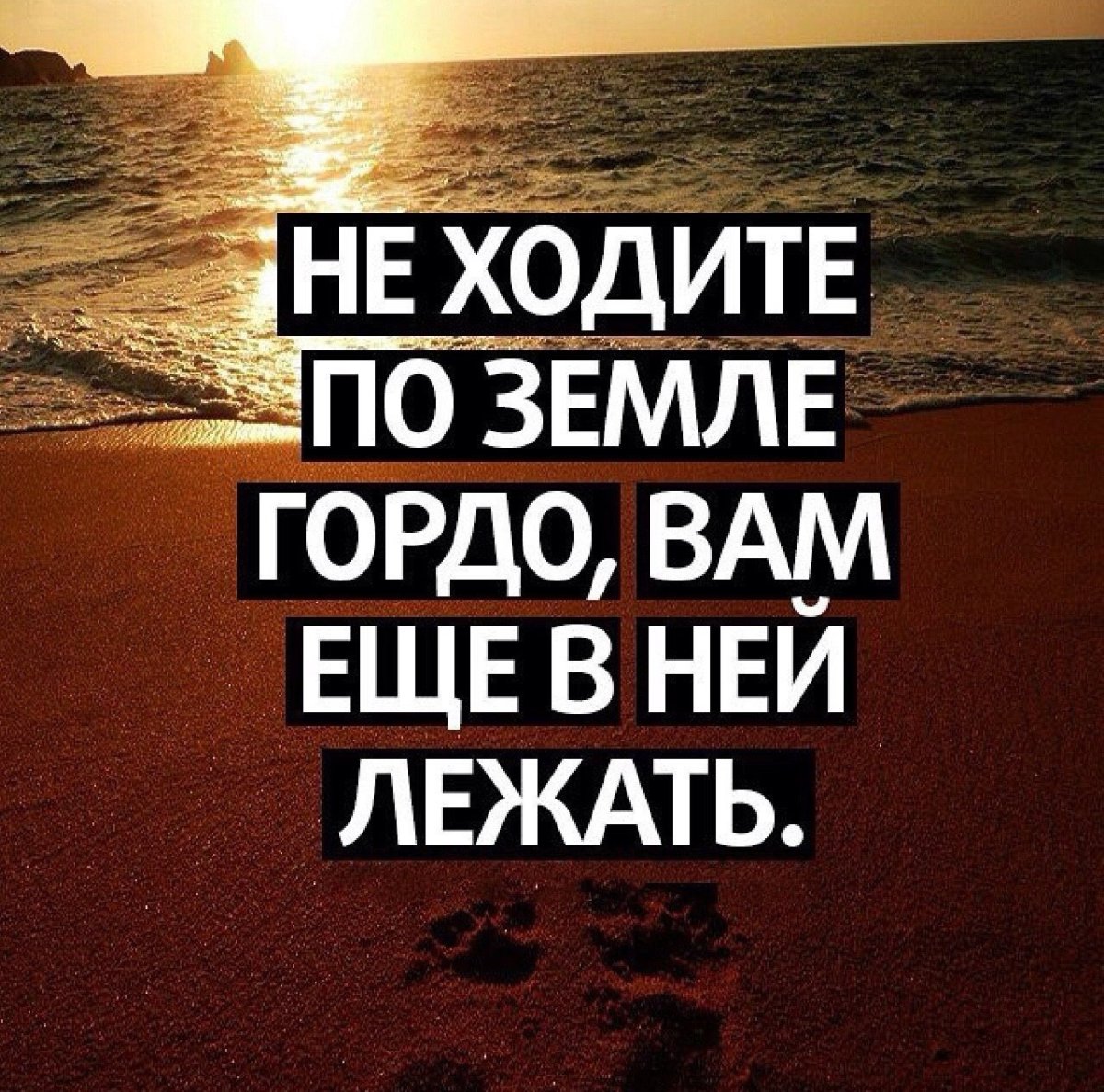 Мусульманские цитаты