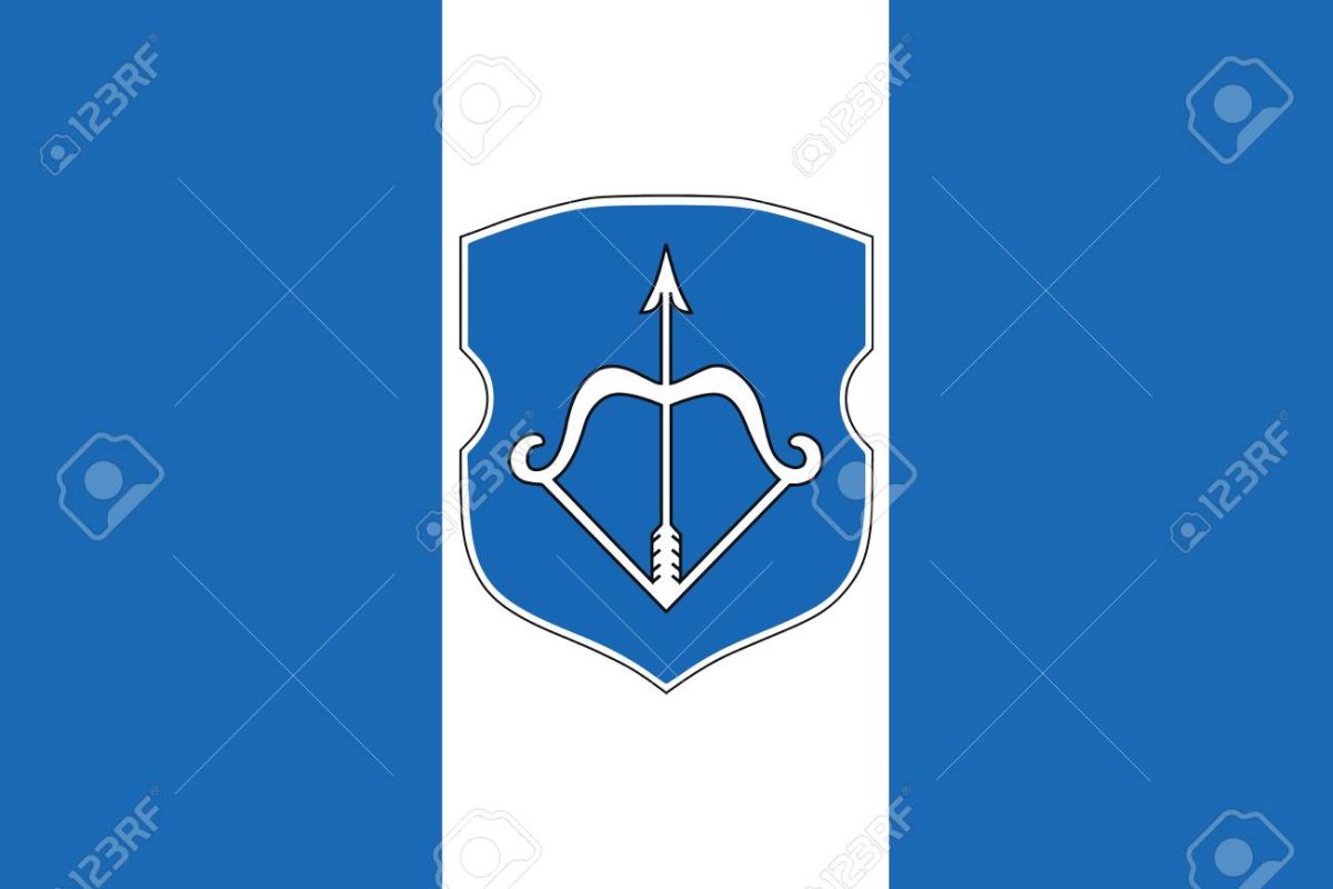 Альтернативный флаг Бреста