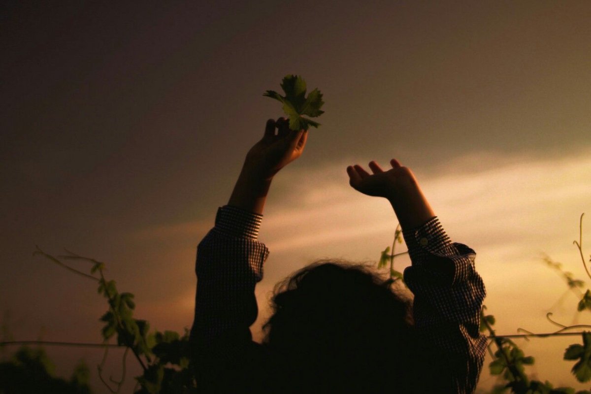 Вацап икона