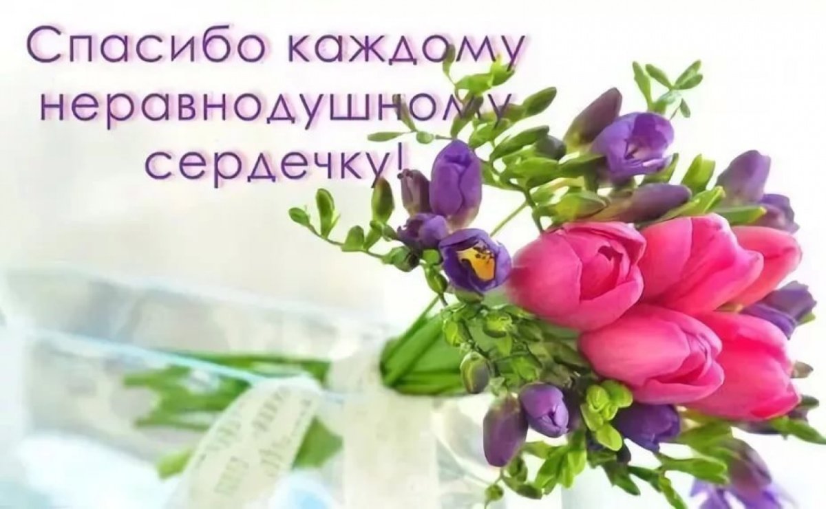 Спасибо за помощь