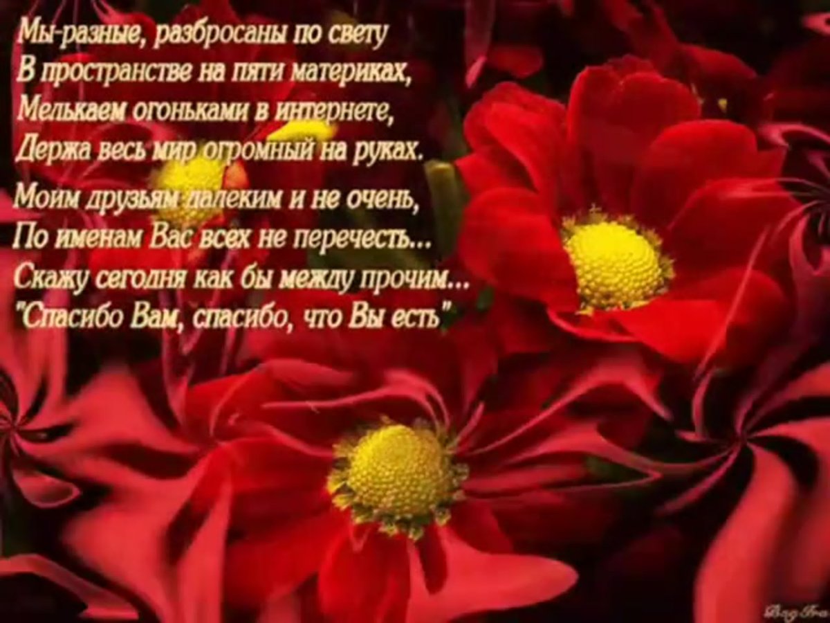 Самые теплые слова