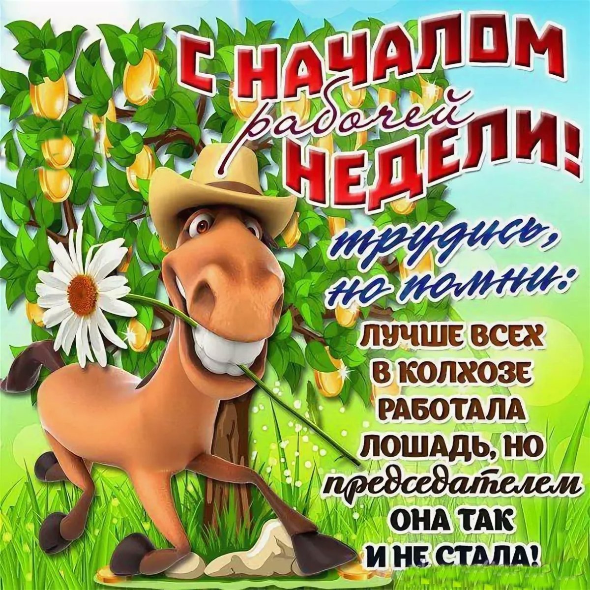 С началом рабочей недели