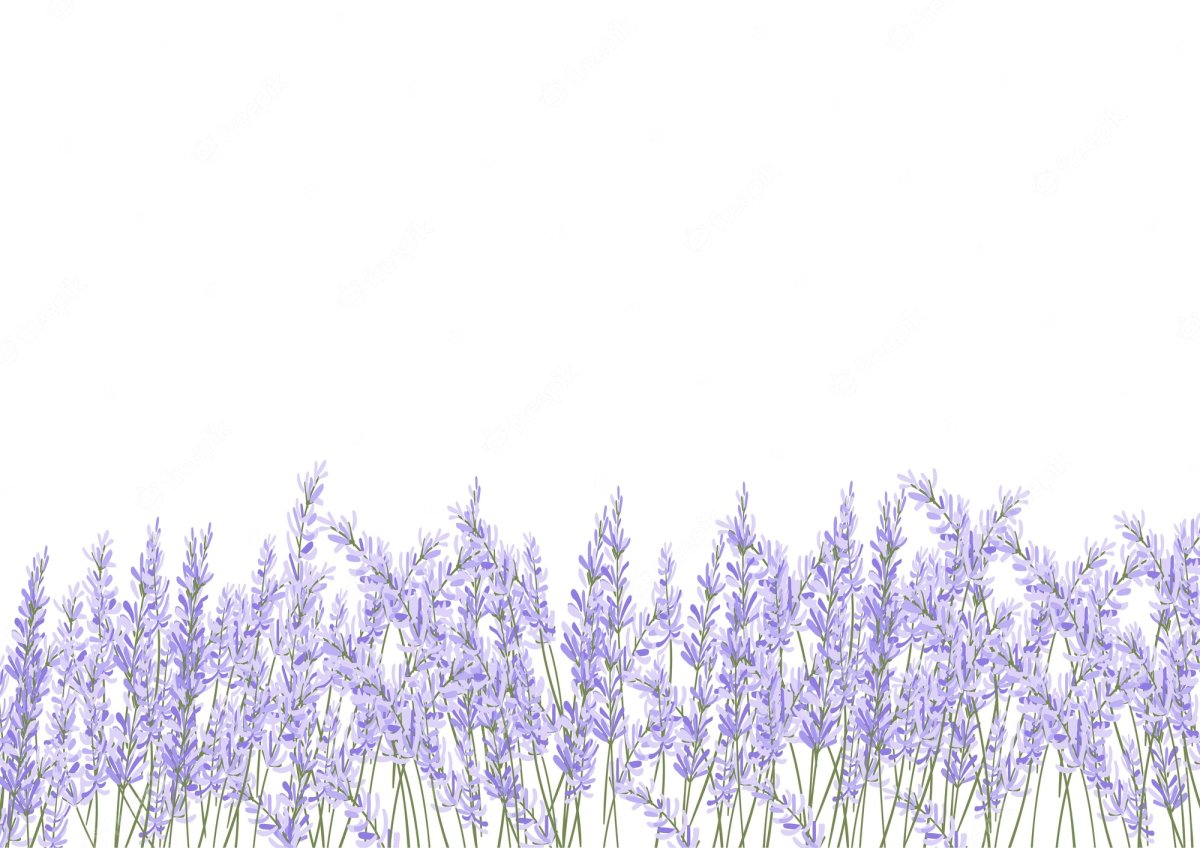 Лаванда по краям вектор