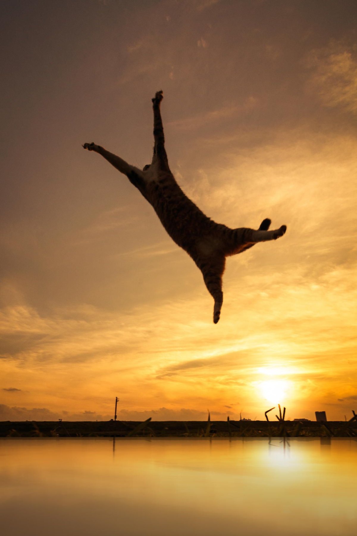 Девочка и море