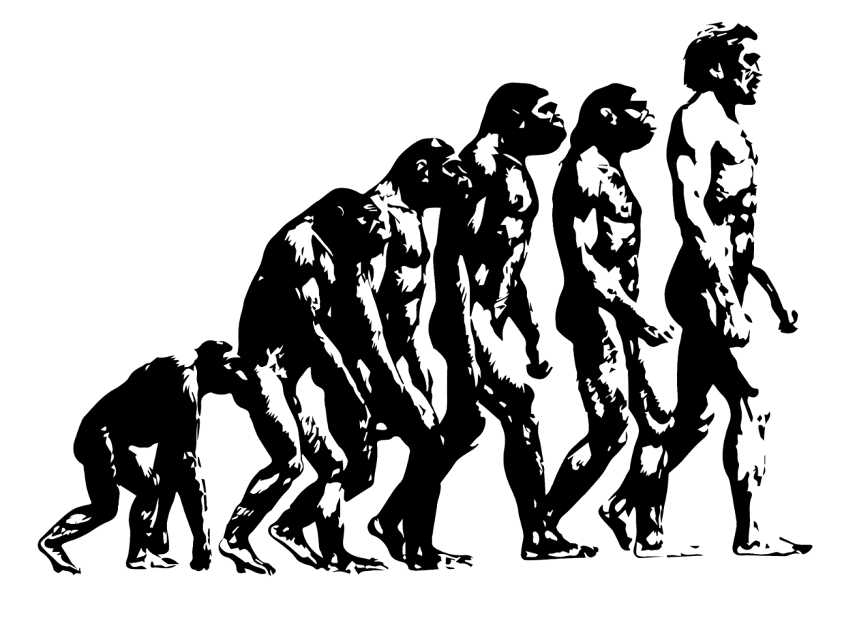 Теория эволюции Дарвина