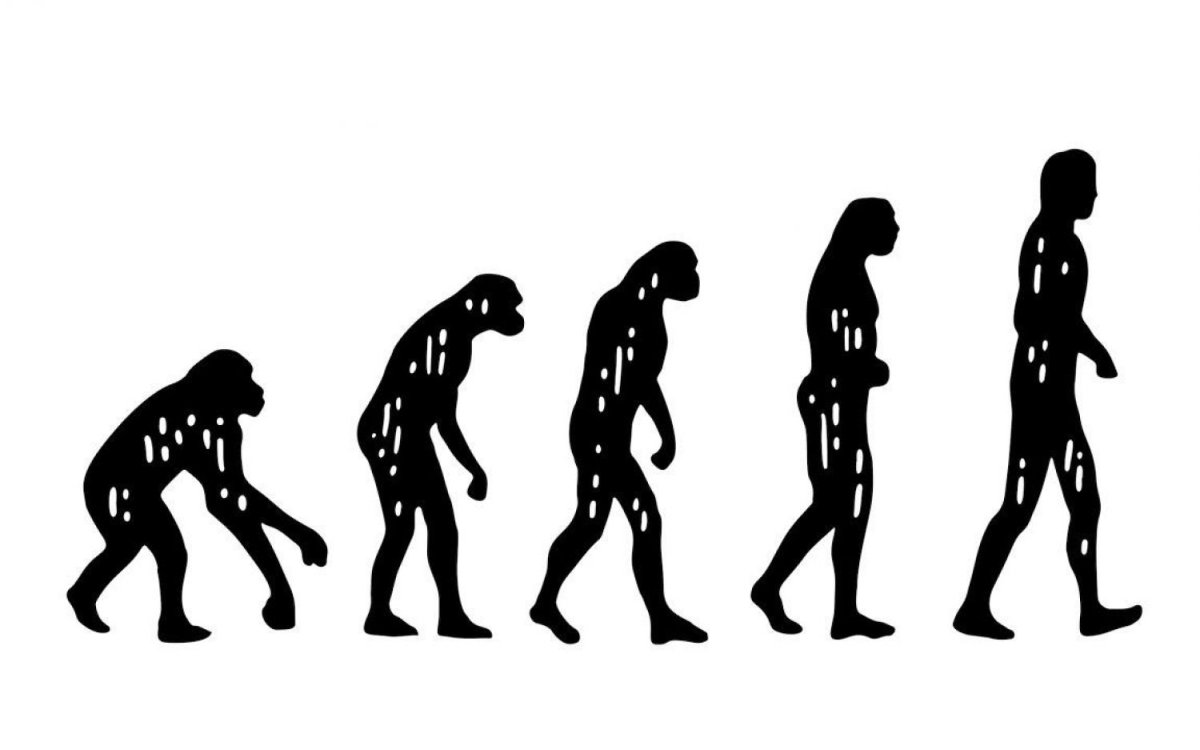 Теория Дарвина австралопитек