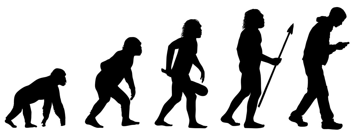 Эволюция человека вектор