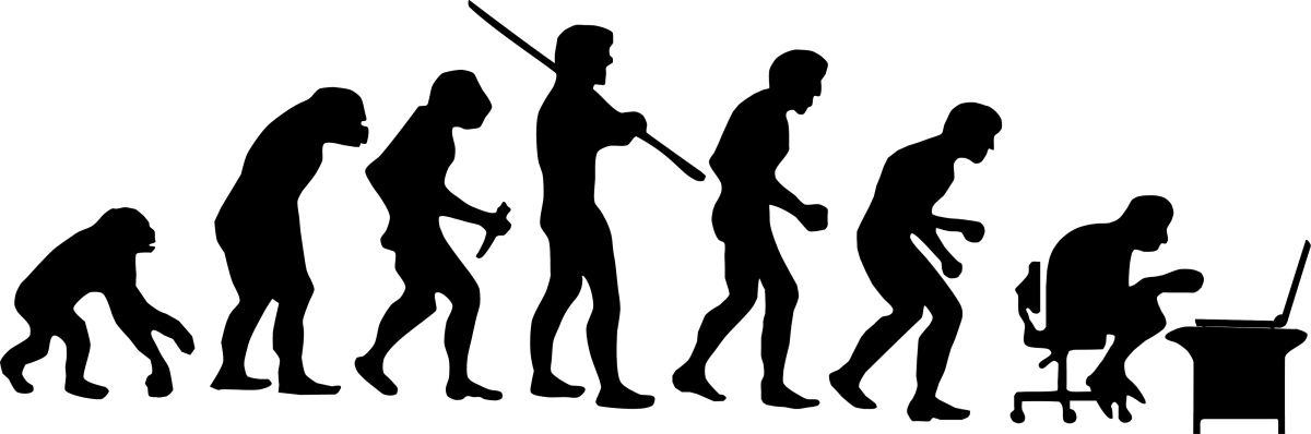 Эволюция силуэт