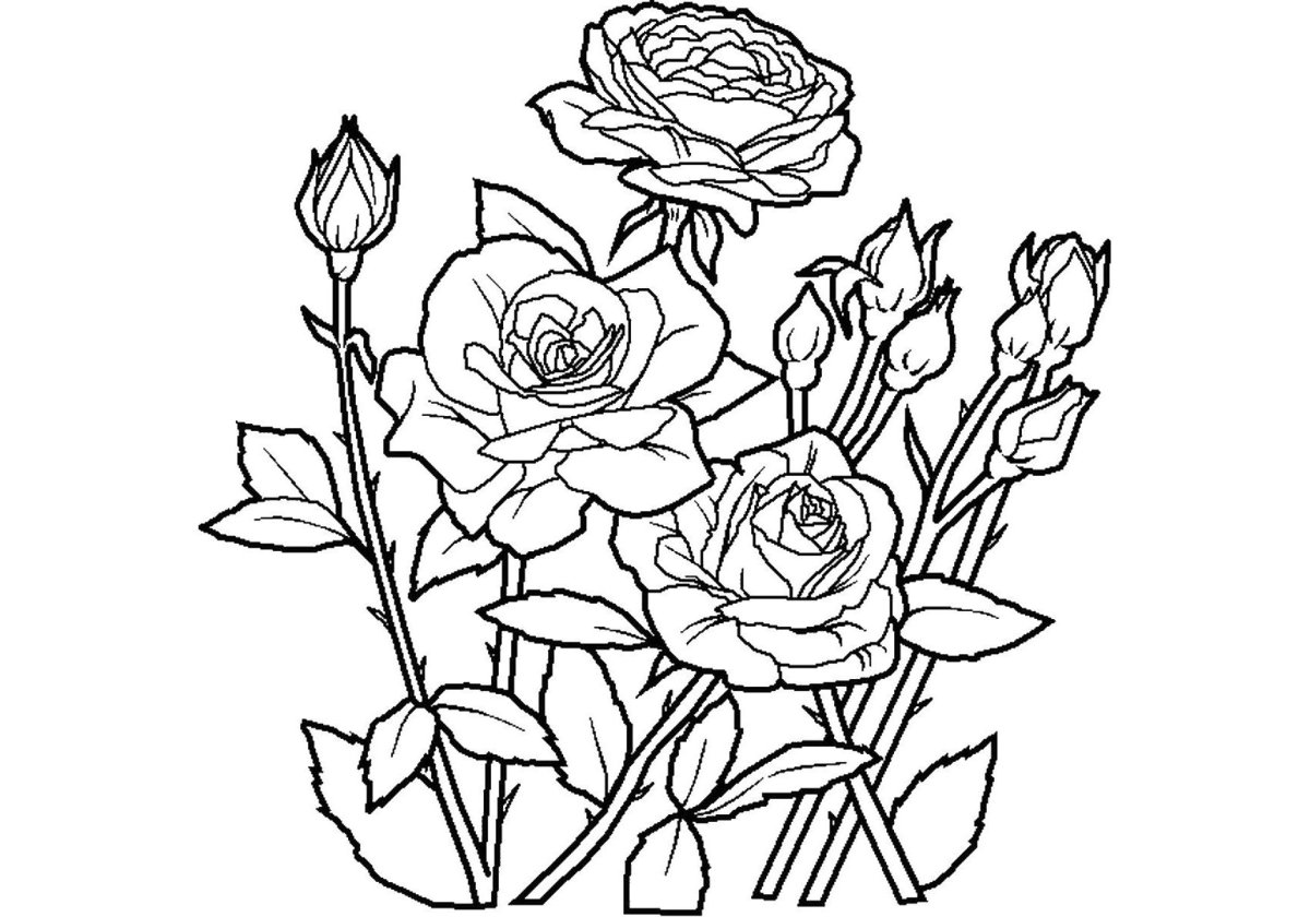 Цветы. Раскраска