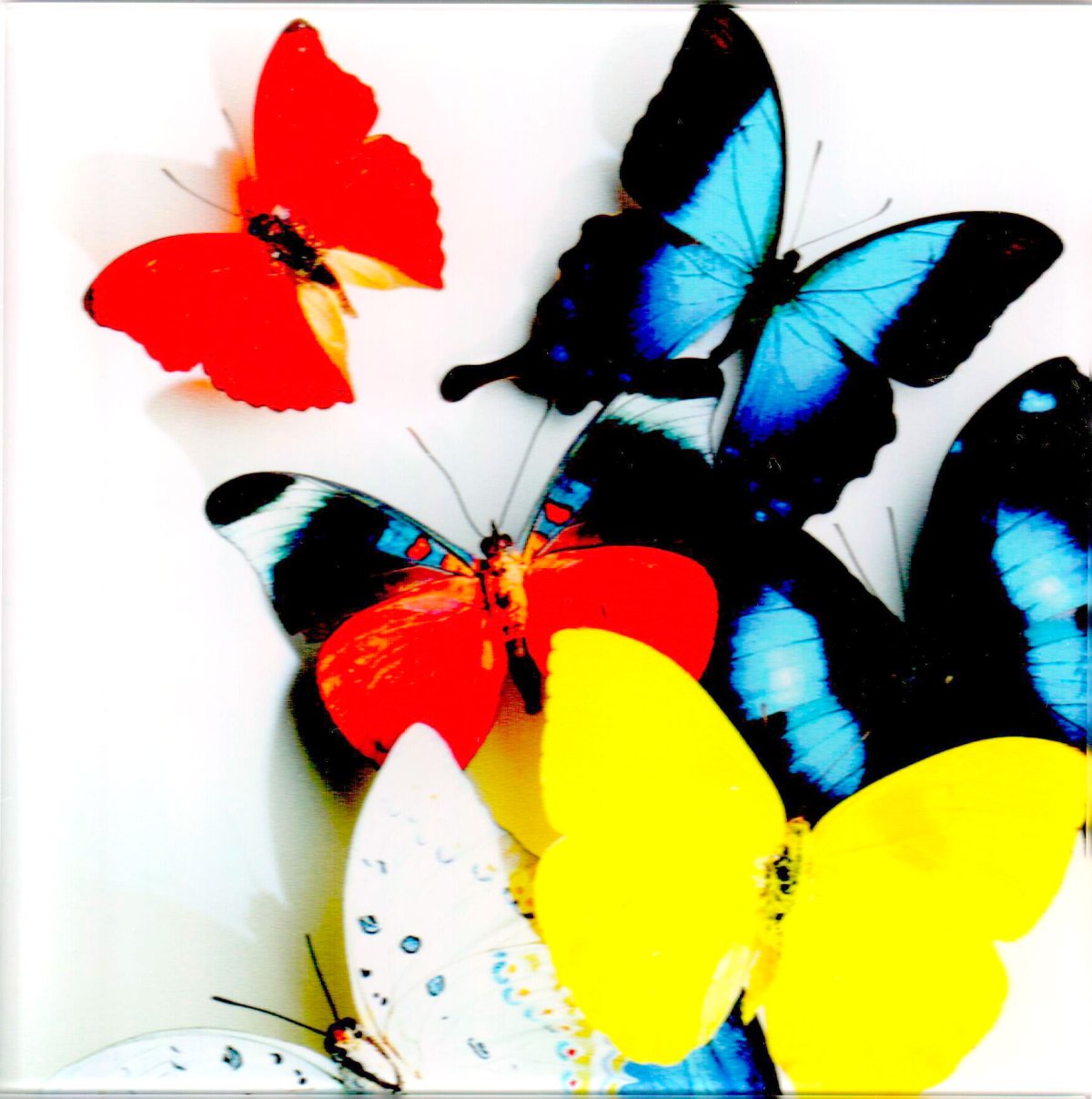 Яркие цвета для принтера