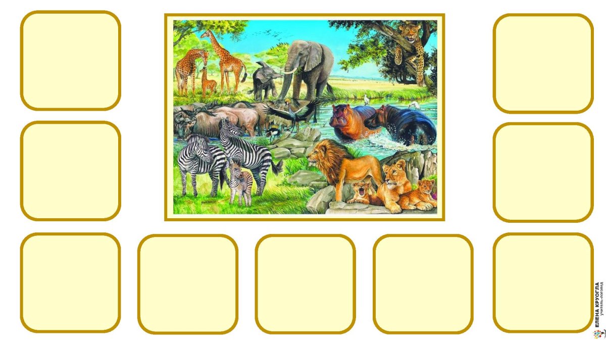 Животные Северс и жарких стран