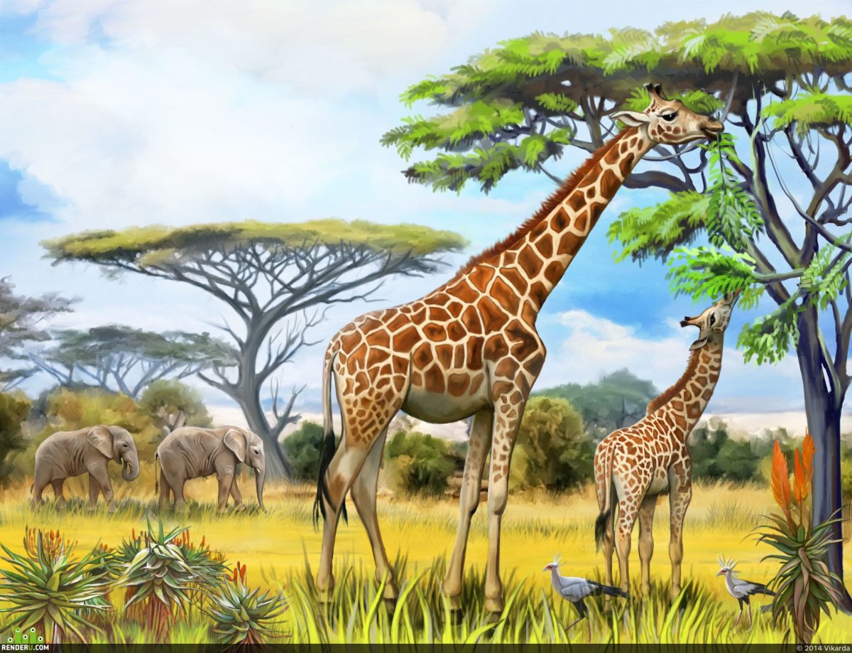 Животные жарких стран для детей