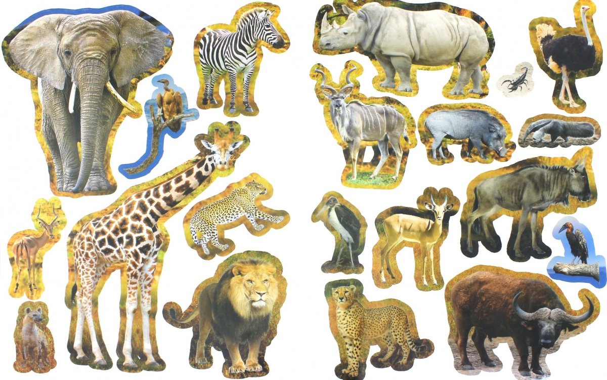 : «Животные жарких стран» куарптинкуи