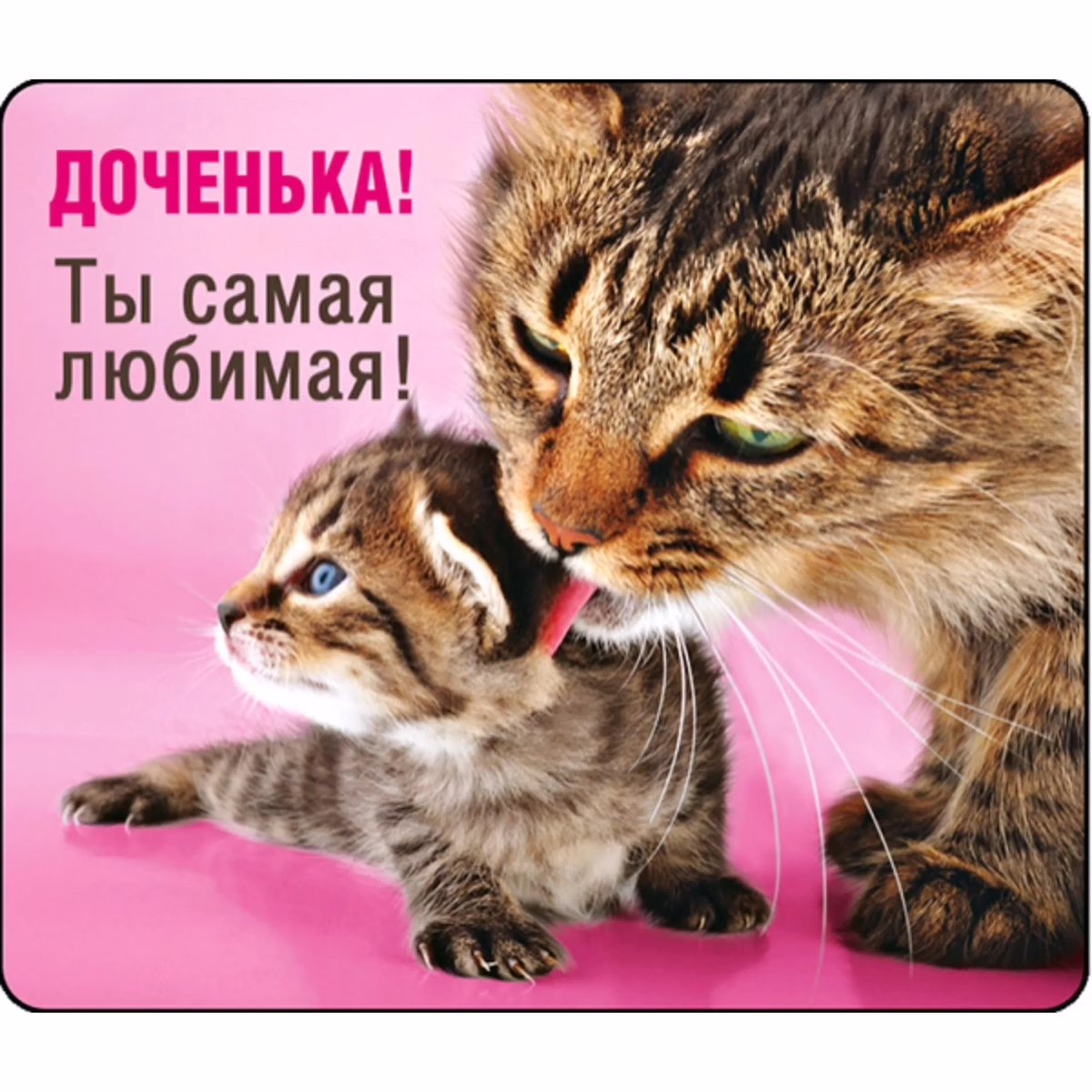 Люблю тебя доченька