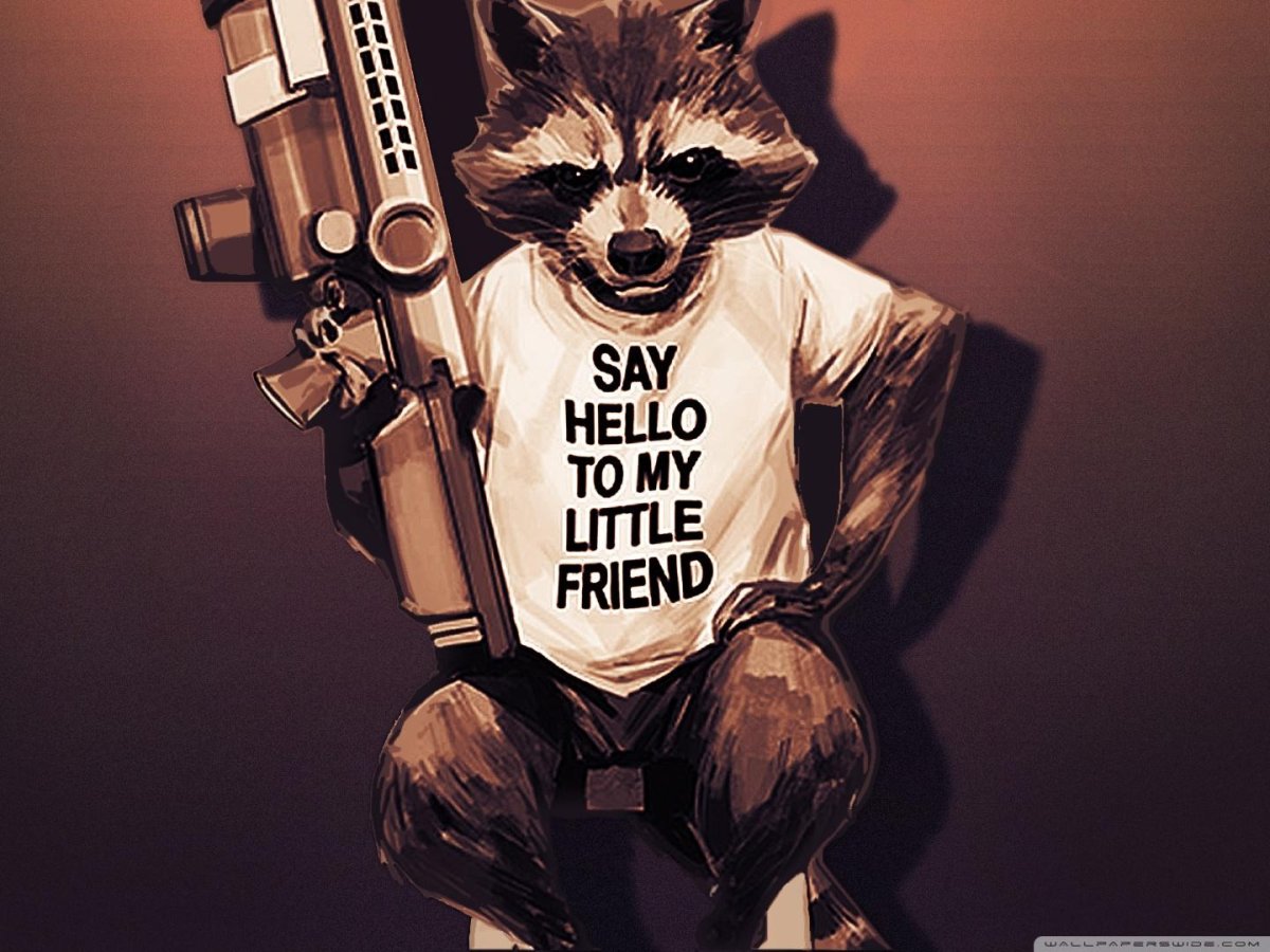 Енот ракета в очках