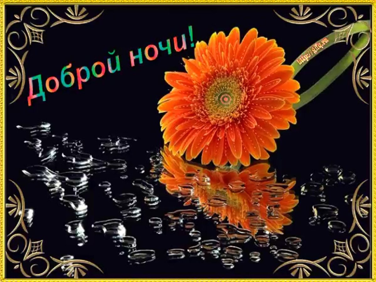 Спокойной ночи гифка