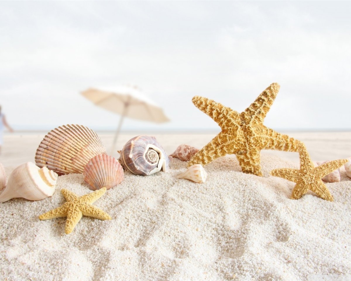 Саммер Стоун плитка