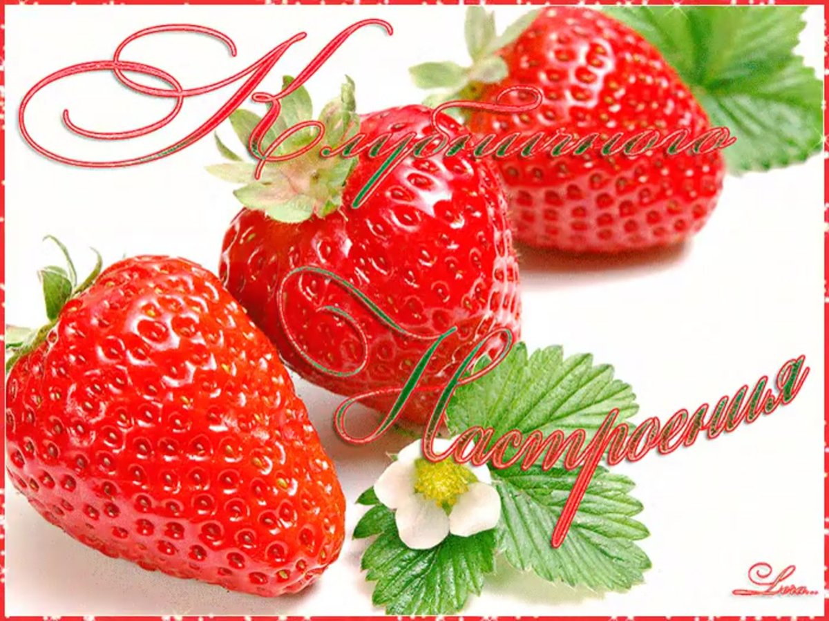 Красивое Приветствие с цветами