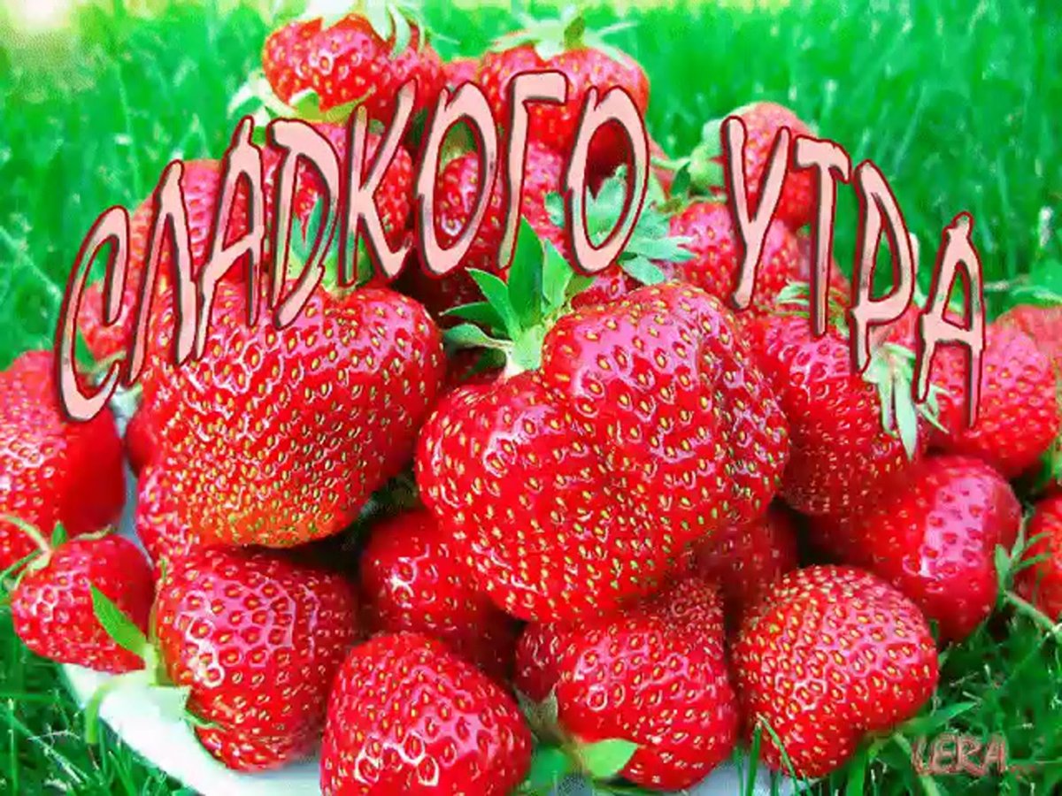 Сладкая малина