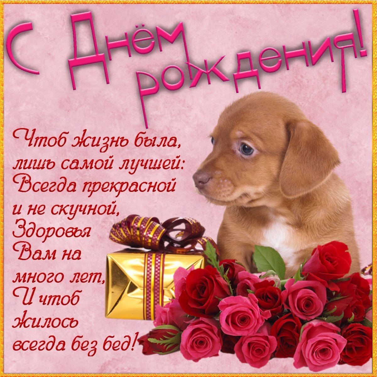 День рождения мышонка