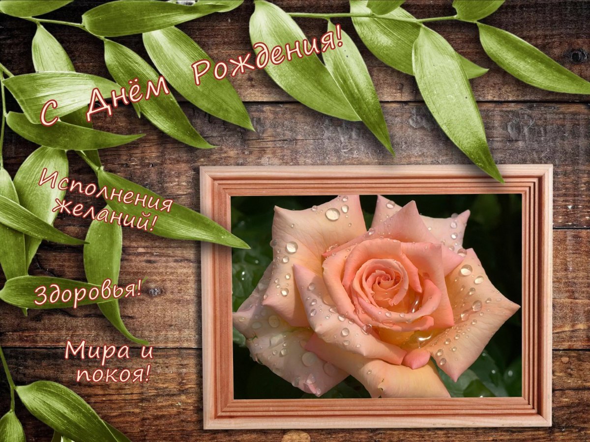 Поздравления с днём рождения девушке