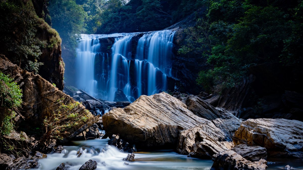 Красивые обои на рабочий стол