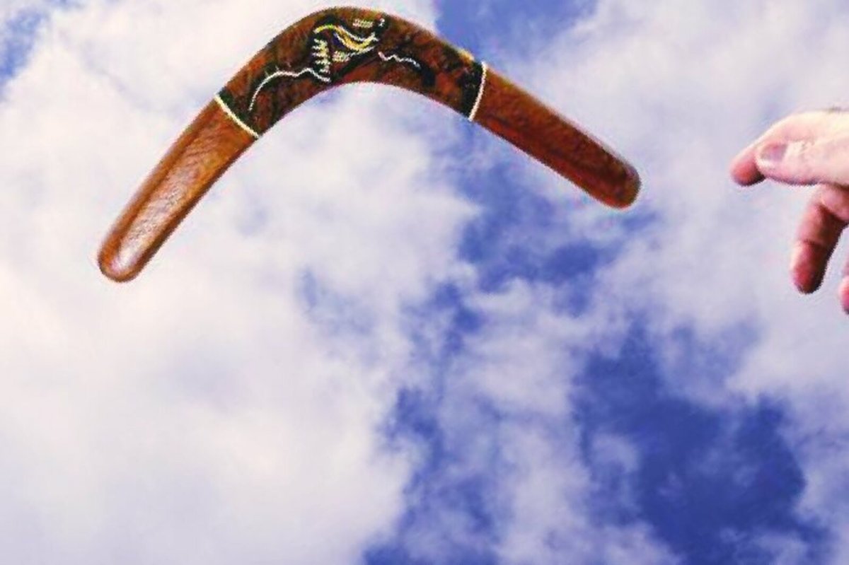 Жизнь Бумеранг обои