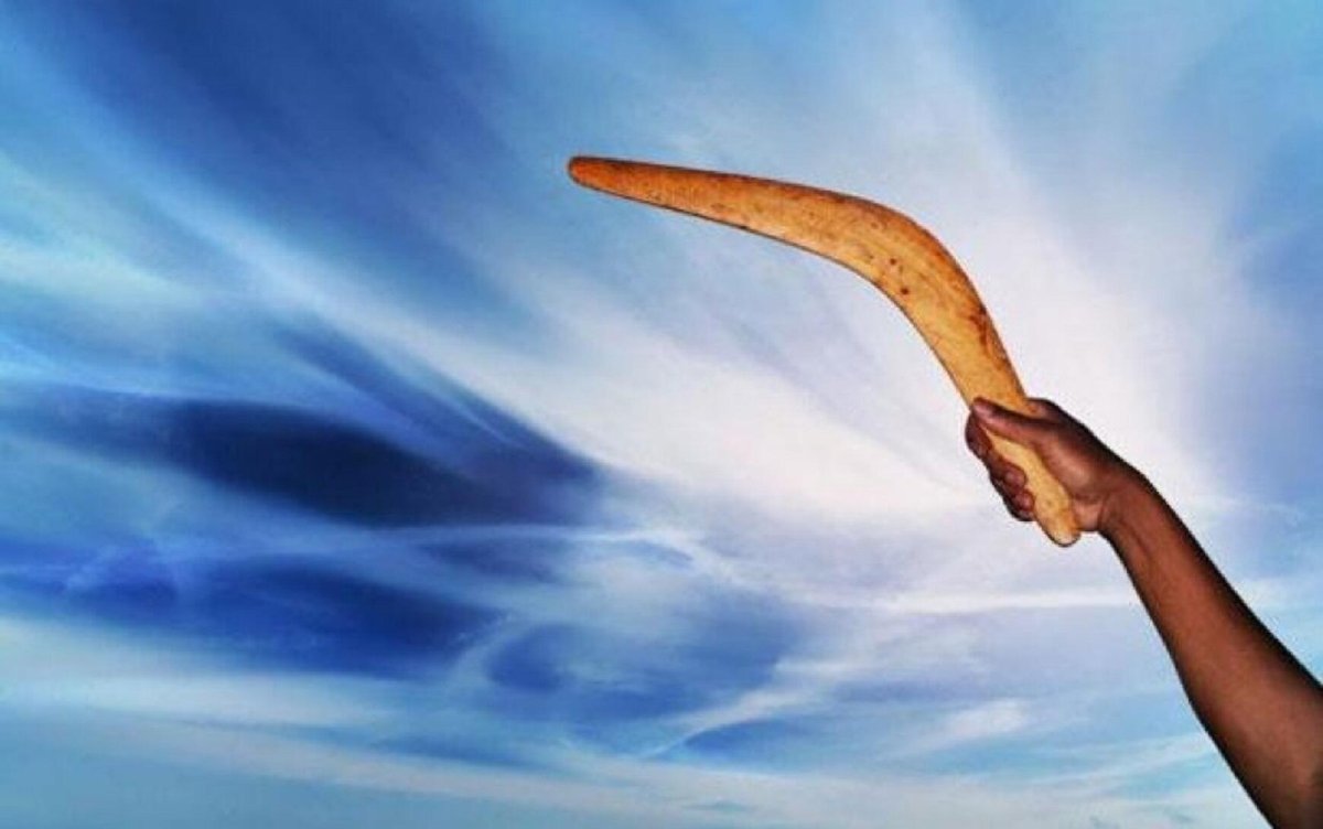 Школьный Бумеранг добра