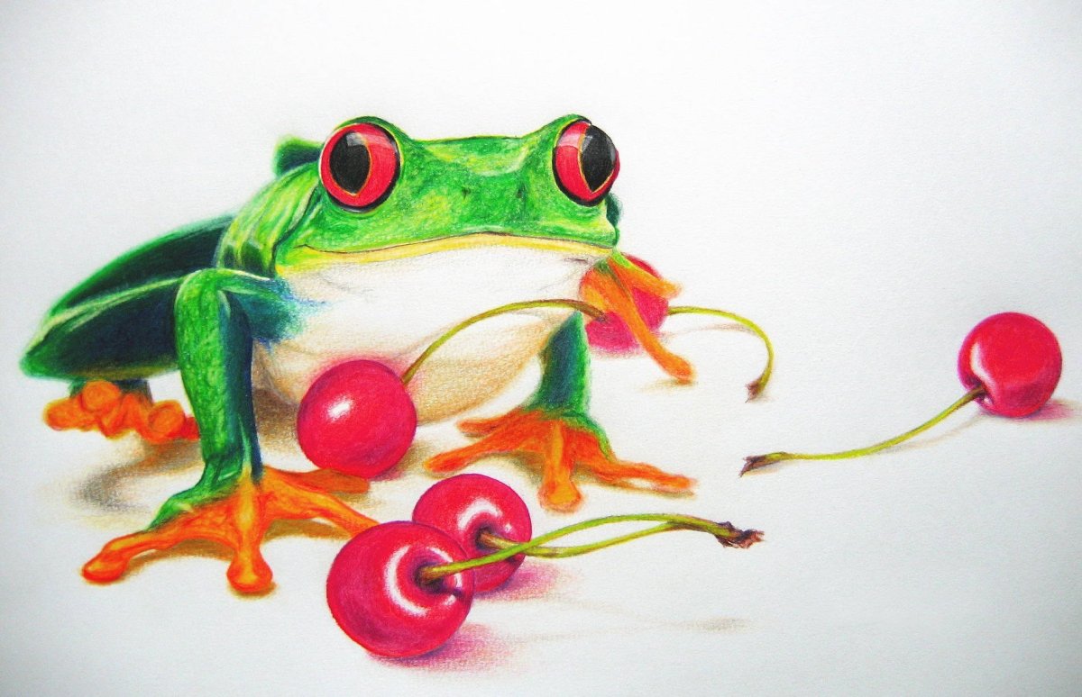 Жаба красками