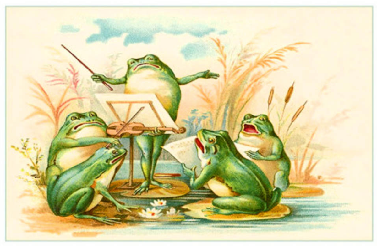 Лягушки мультяшные милые