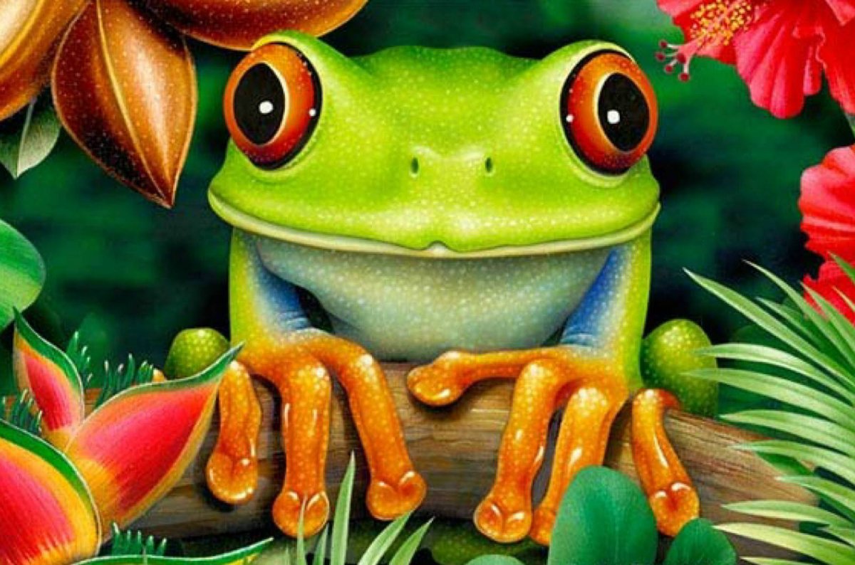 Лягушки мультяшные