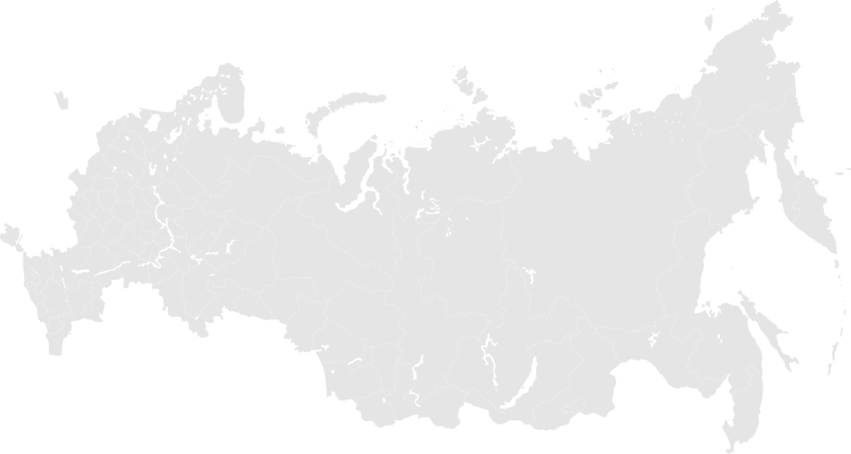 Карта России серая