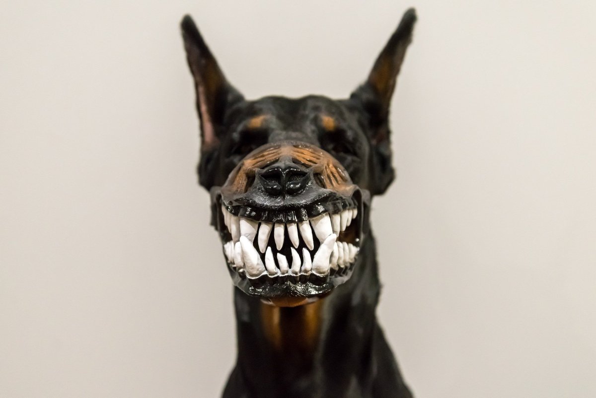 Доберман оскал