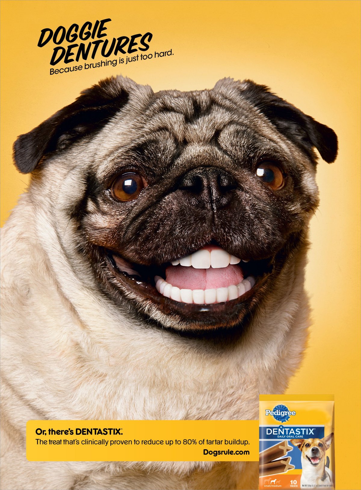 Собачка с кривыми зубами