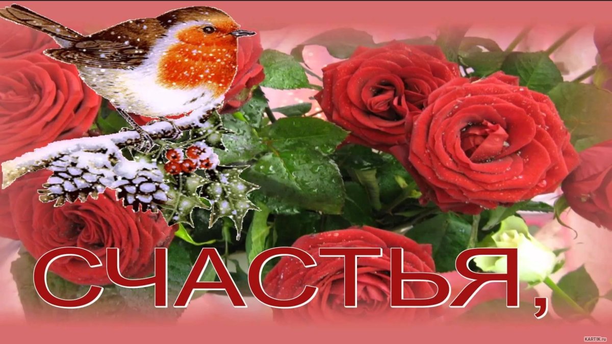 С днём рождения Владимир