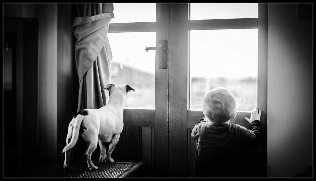 Трогательная фотография под окном