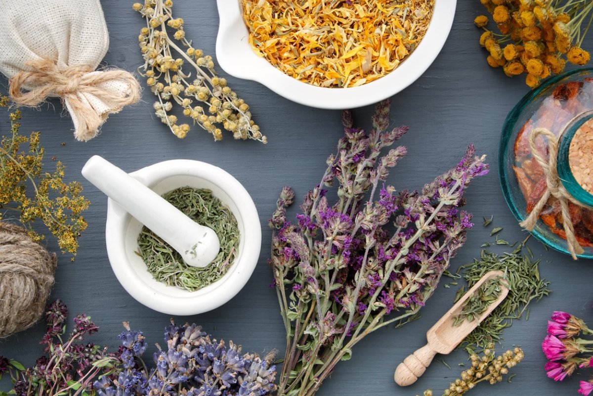 Собранные лечебные травы вид сверху