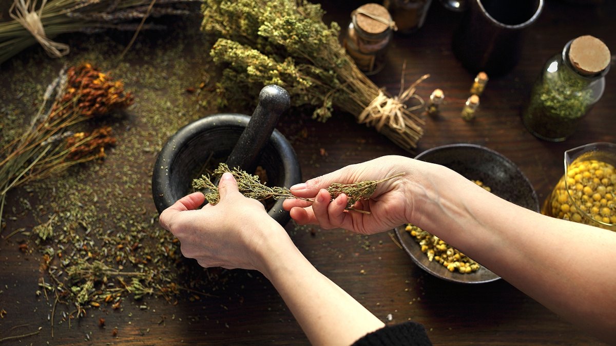 Врачевание травами