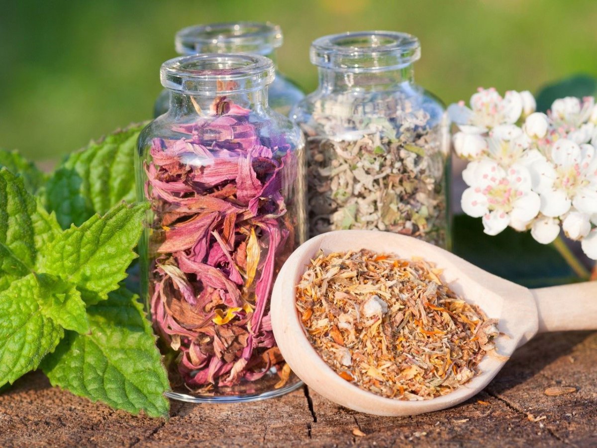 Лекарства из трав