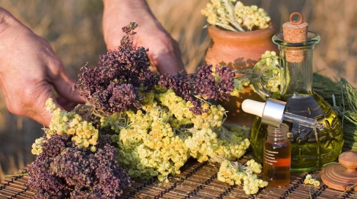 Травы для бани