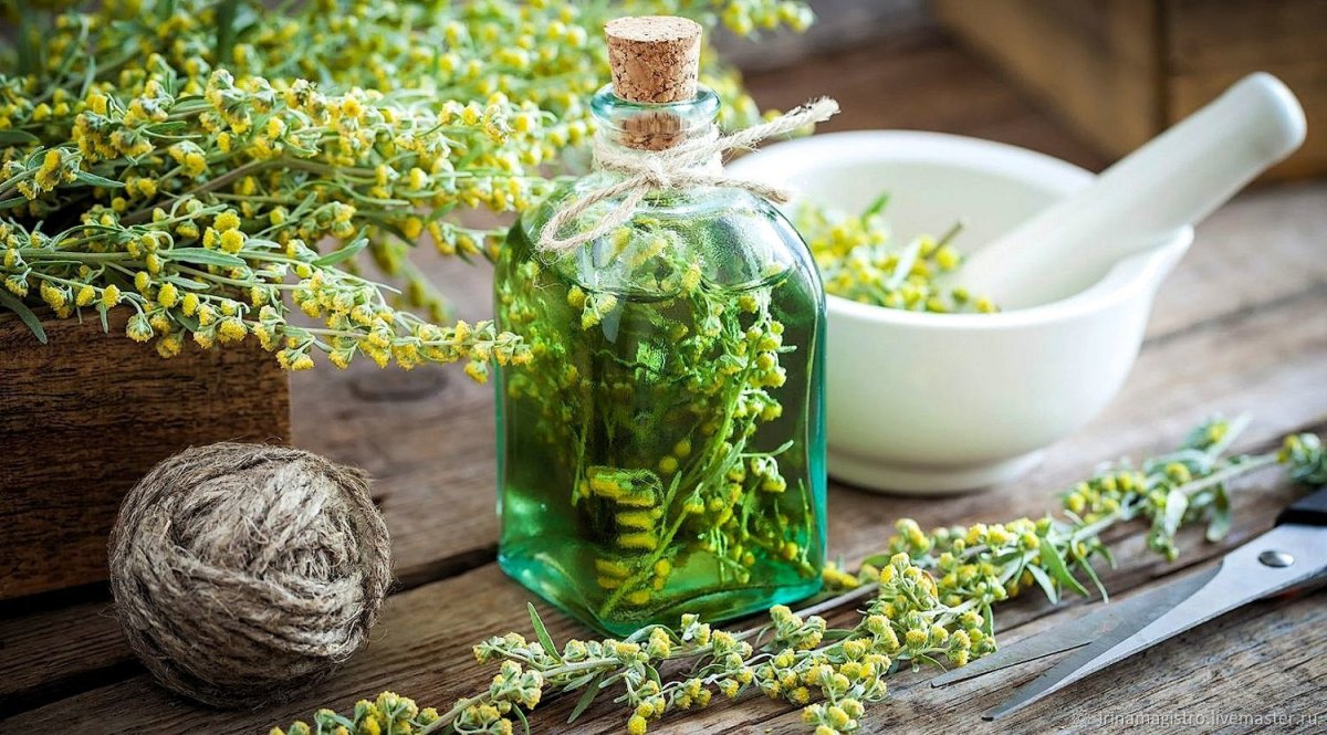 Анисовый мацерат