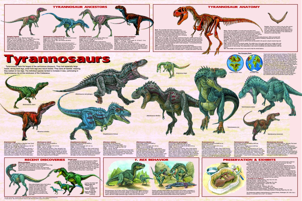 Тероподы динозавры