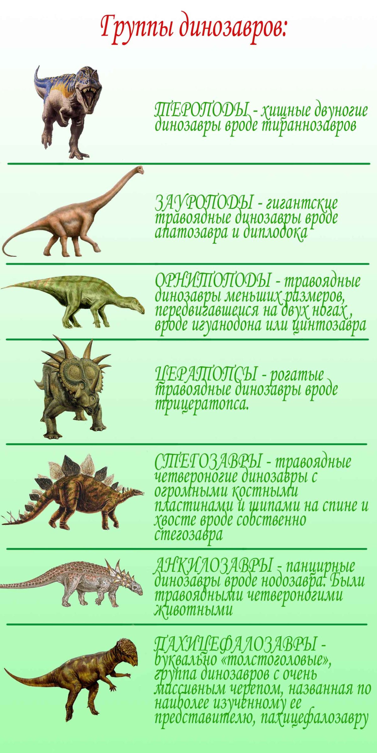 Динозавры названия с картинками для детей