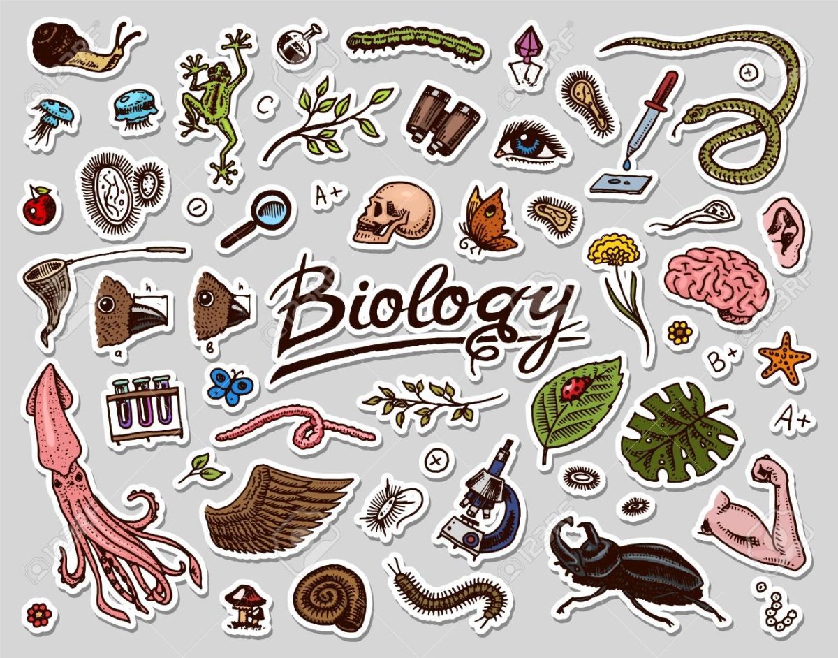 Наклейки по биологии