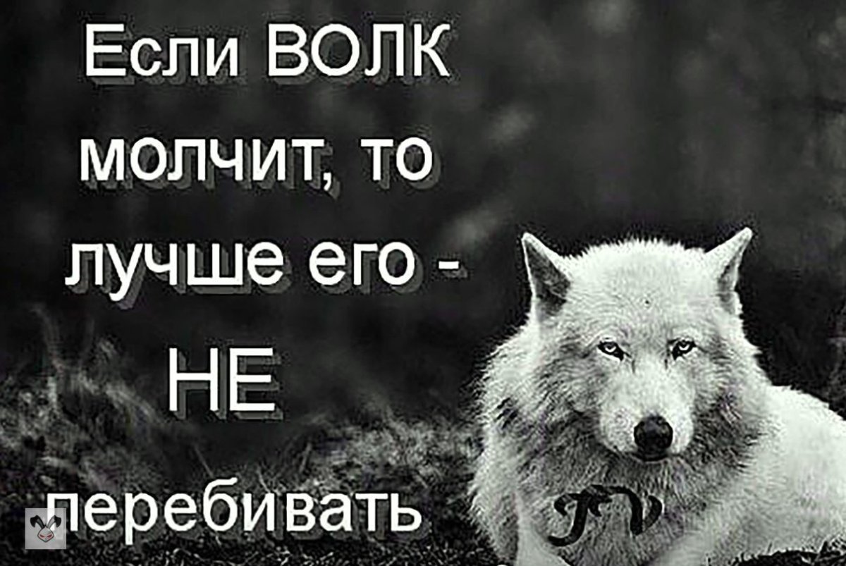 Человек с головой волка