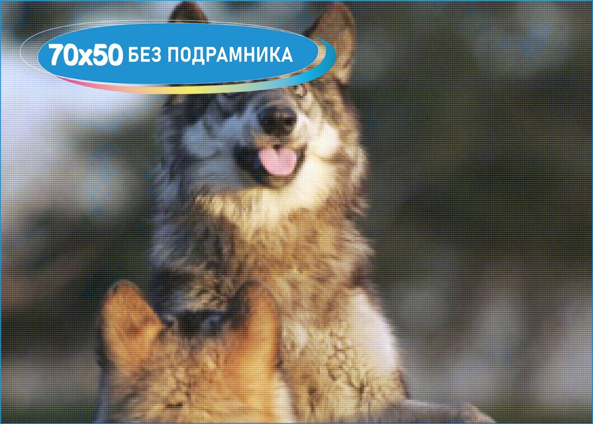 Волк удивляется