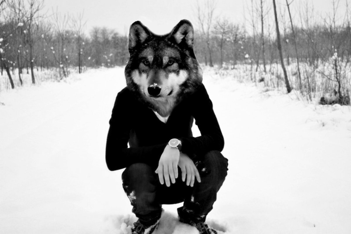 Ты точно не ложишься на краю волк