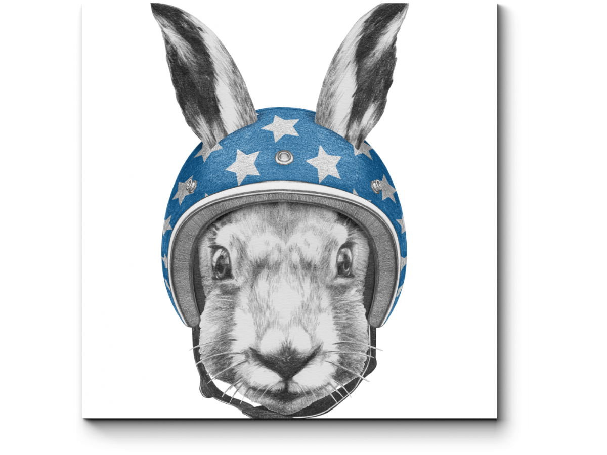 Кролик в шлеме