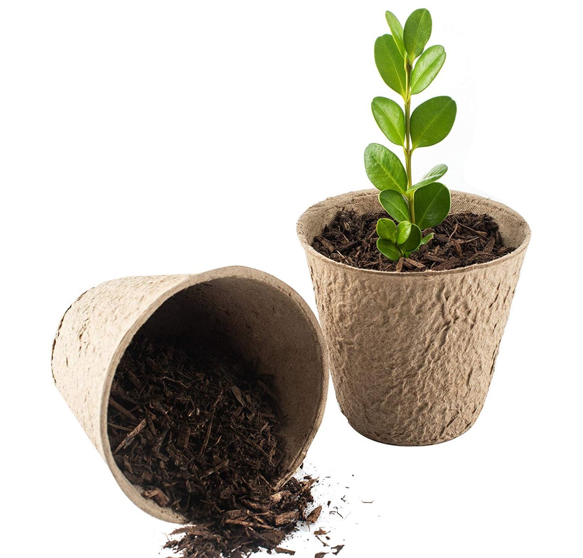 Торфяные горшочки для рассады